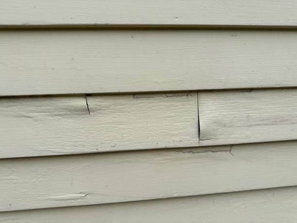 Best Siding Painting and Refinishing  in New Castle Northwest, PA